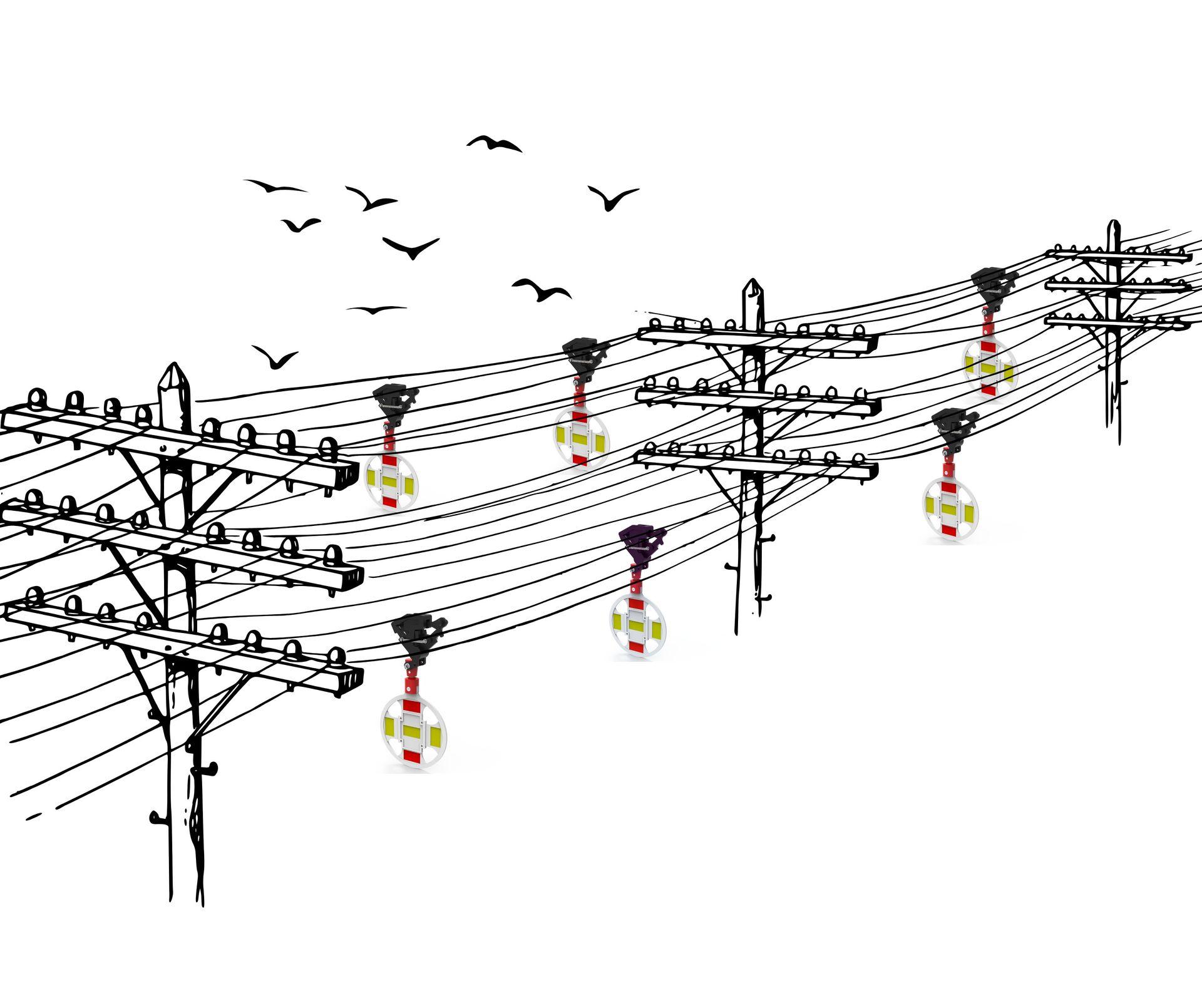 Illustration of power lines with signal markers and birds flying in the sky.